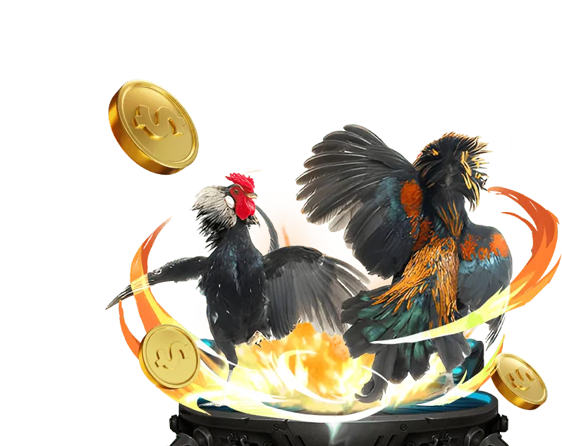 Đá gà trực tiếp vip79