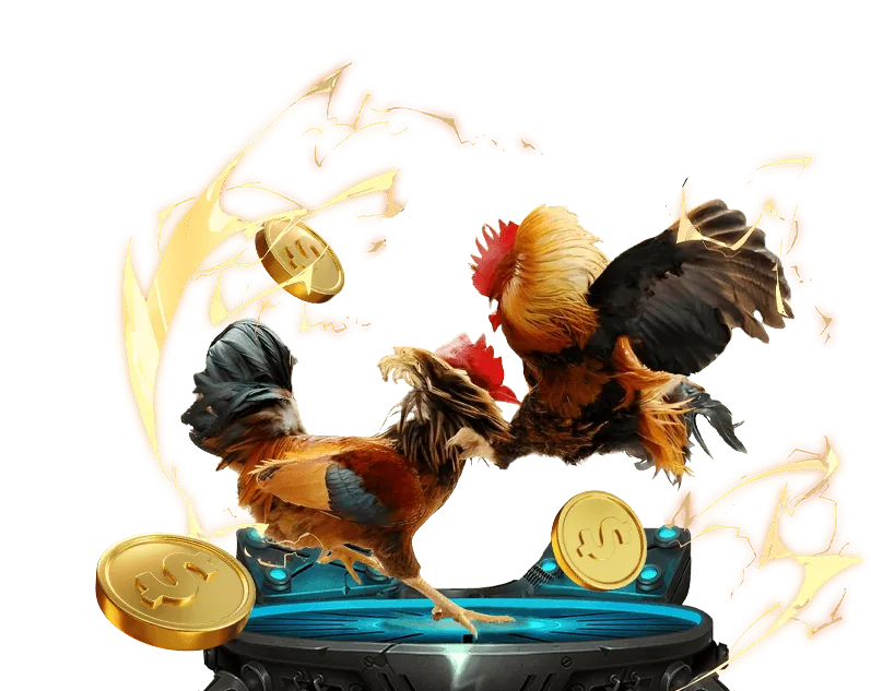 Quản lý ngân sách cá cược vip79